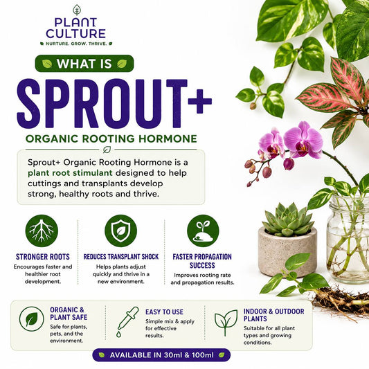 Plant Culture Sprout+ Organic Rooting Hormone for Cuttings & Propagation | 30ml / 100ml