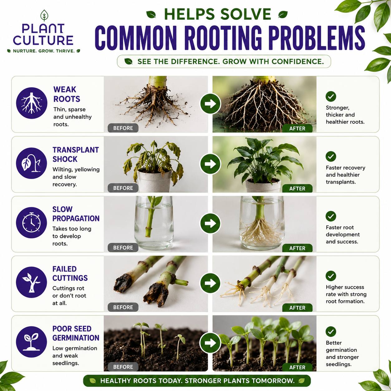 Plant Culture Sprout+ Organic Rooting Hormone for Cuttings & Propagation | 30ml / 100ml