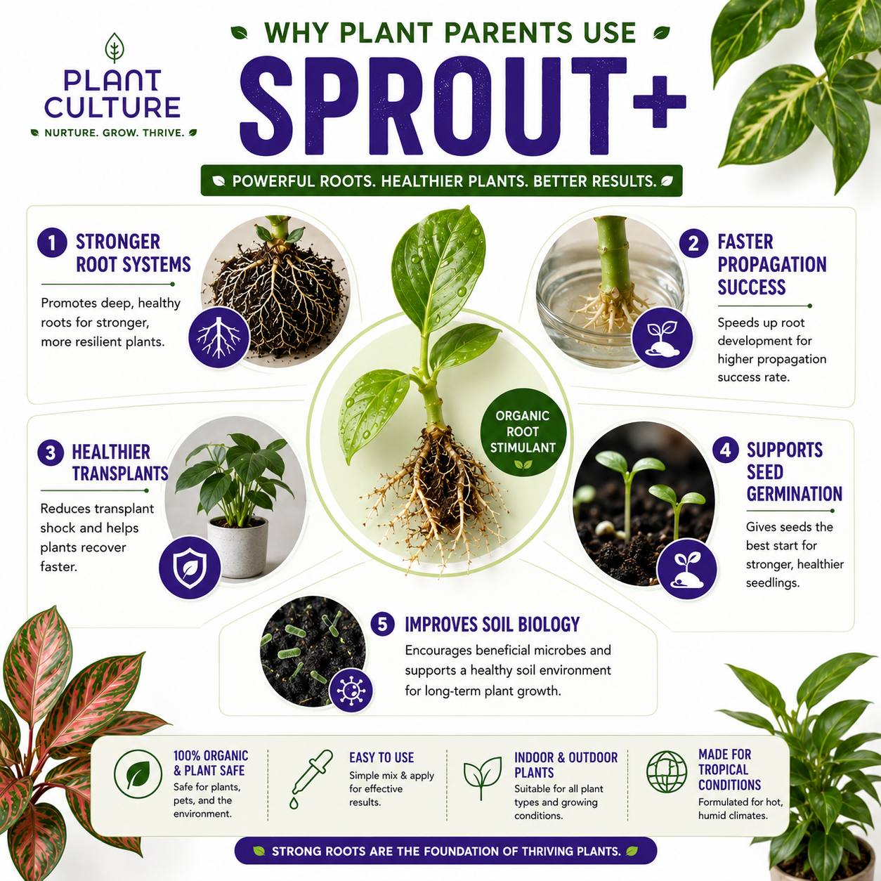 Plant Culture Sprout+ Organic Rooting Hormone for Cuttings & Propagation | 30ml / 100ml