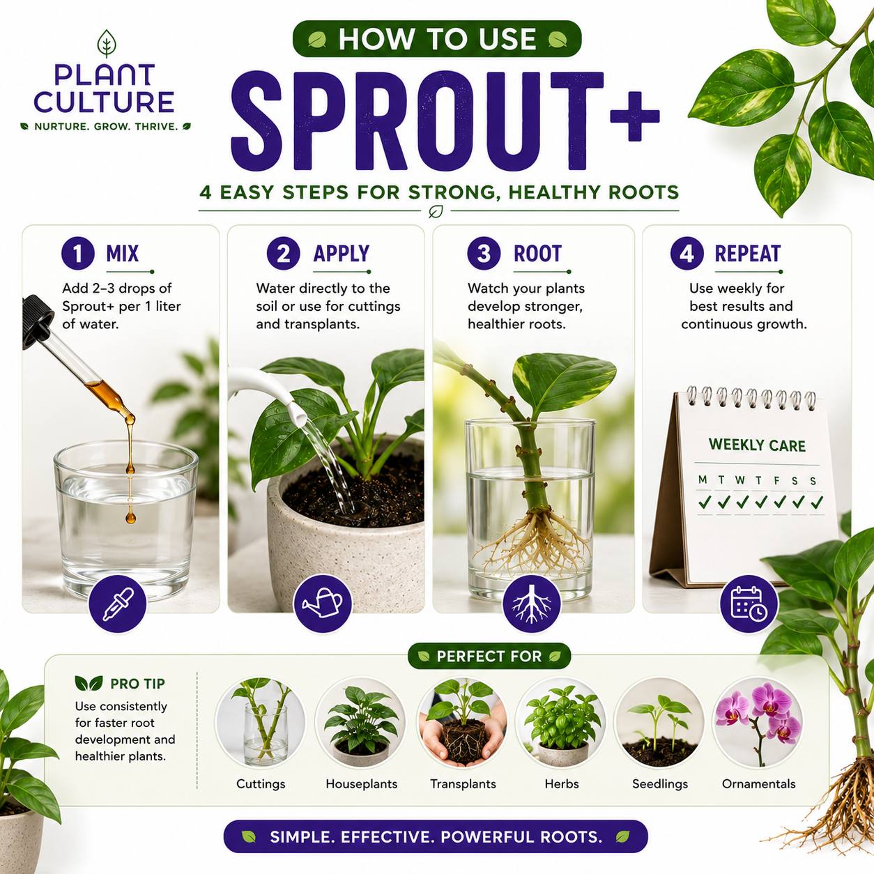 natural rooting hormone for succulents Plant Culture Sprout+ Organic Rooting Hormone for Cuttings & Propagati – Plant Culture PH