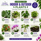 Plant Culture Sprout+ Organic Rooting Hormone for Cuttings & Propagation | 30ml / 100ml