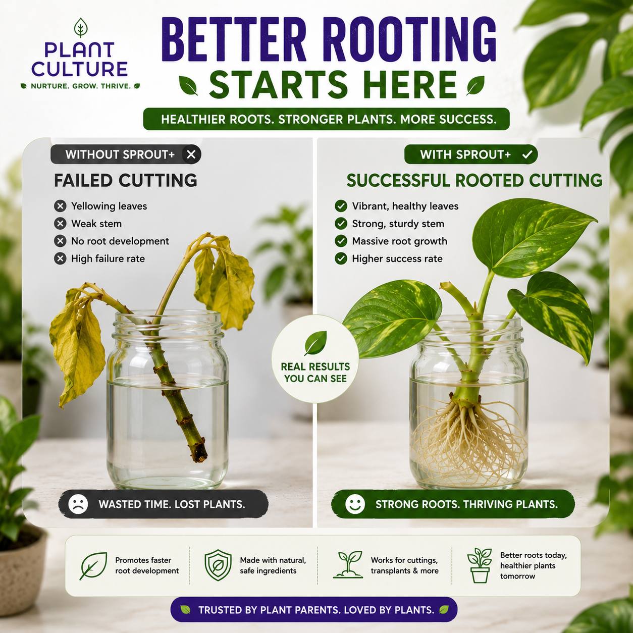 Plant Culture Sprout+ Organic Rooting Hormone for Cuttings & Propagation | 30ml / 100ml