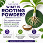 Plant Culture Rooting Powder | Plant Propagation Booster for Cuttings & Seedlings