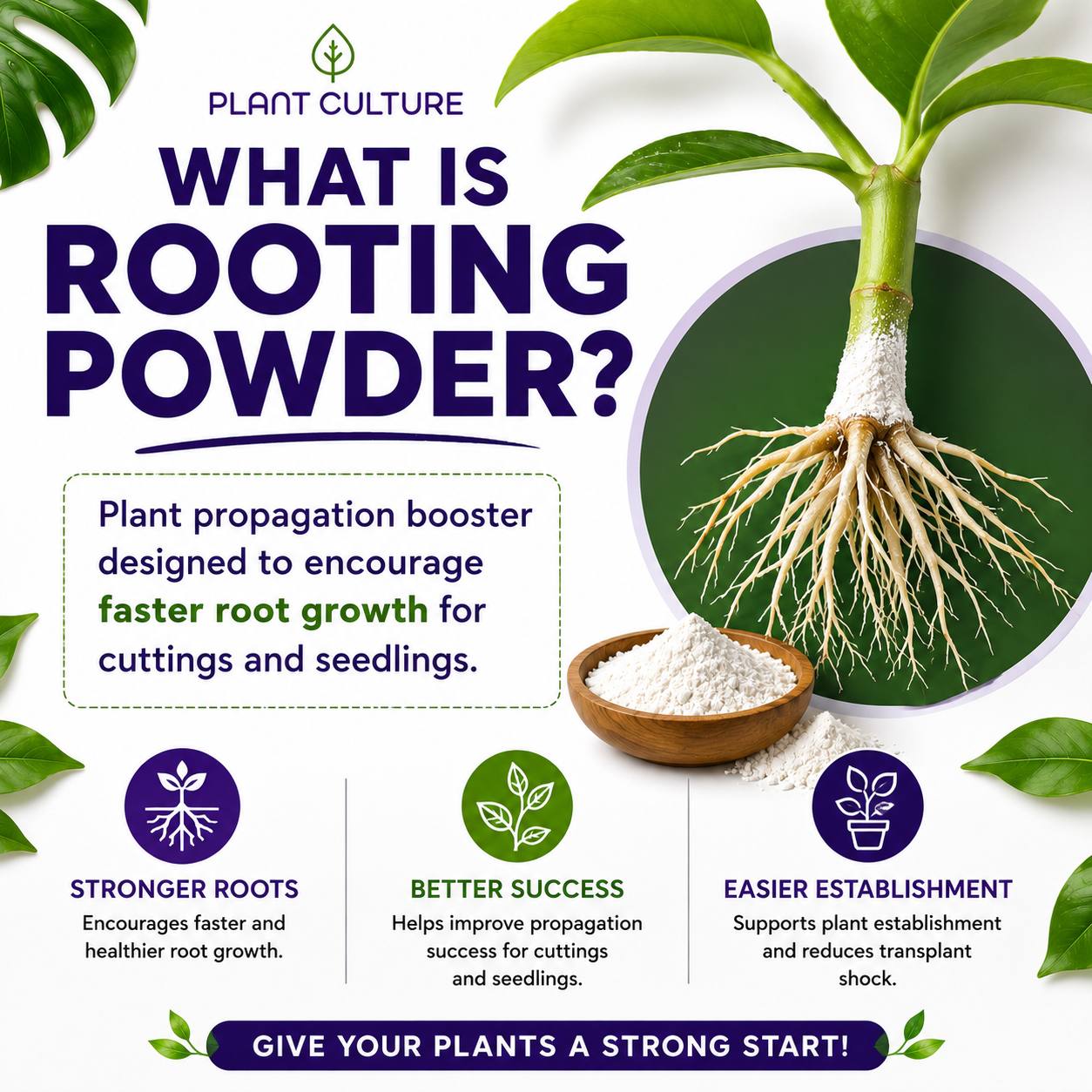 Plant Culture Rooting Powder | Plant Propagation Booster for Cuttings & Seedlings