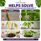 Plant Culture Rooting Powder | Plant Propagation Booster for Cuttings & Seedlings