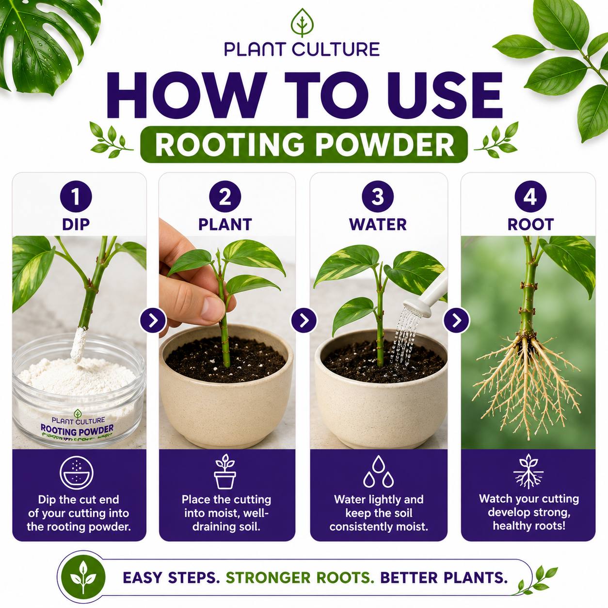 Plant Culture Rooting Powder | Plant Propagation Booster for Cuttings & Seedlings