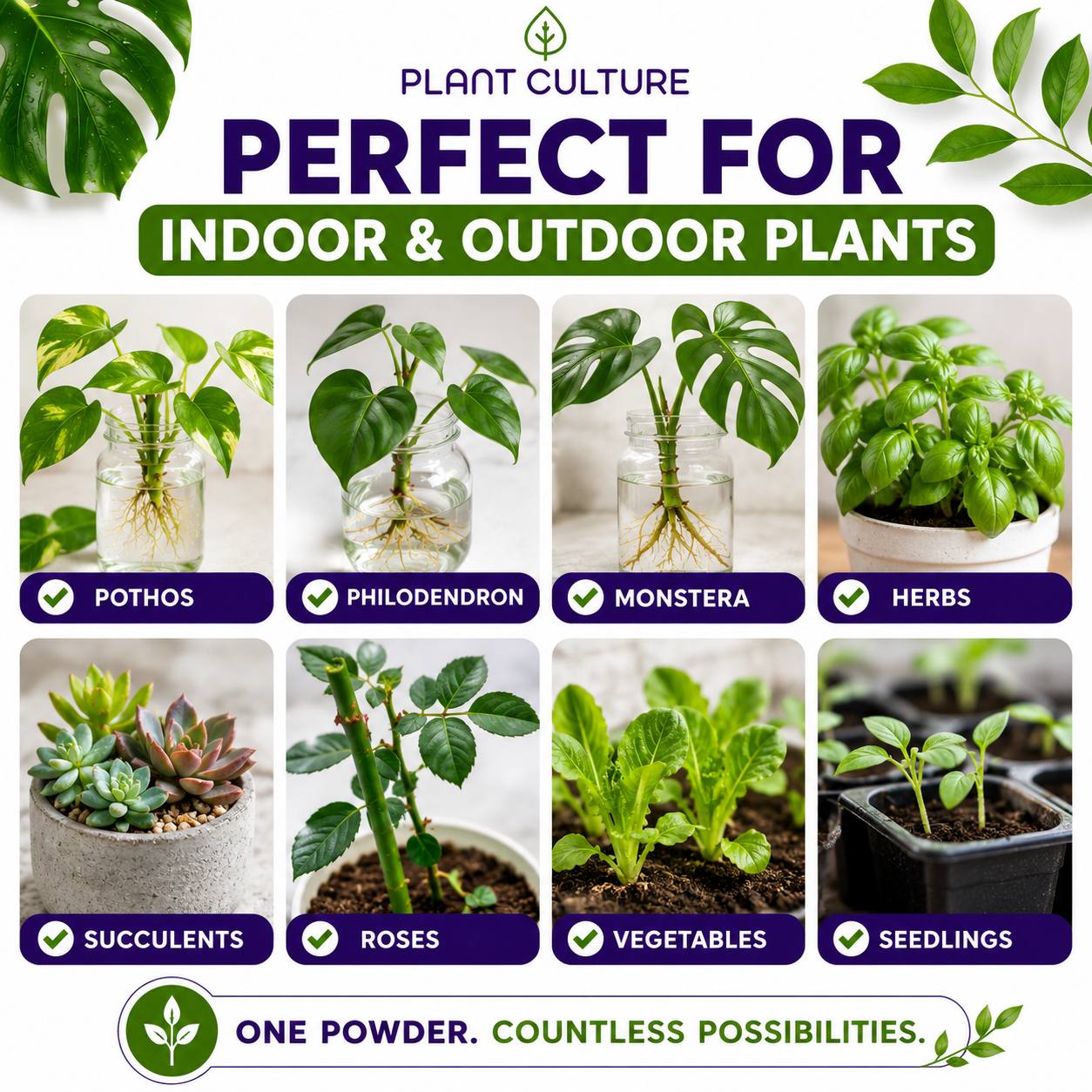 Plant Culture Rooting Powder | Plant Propagation Booster for Cuttings & Seedlings