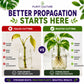 Plant Culture Rooting Powder | Plant Propagation Booster for Cuttings & Seedlings