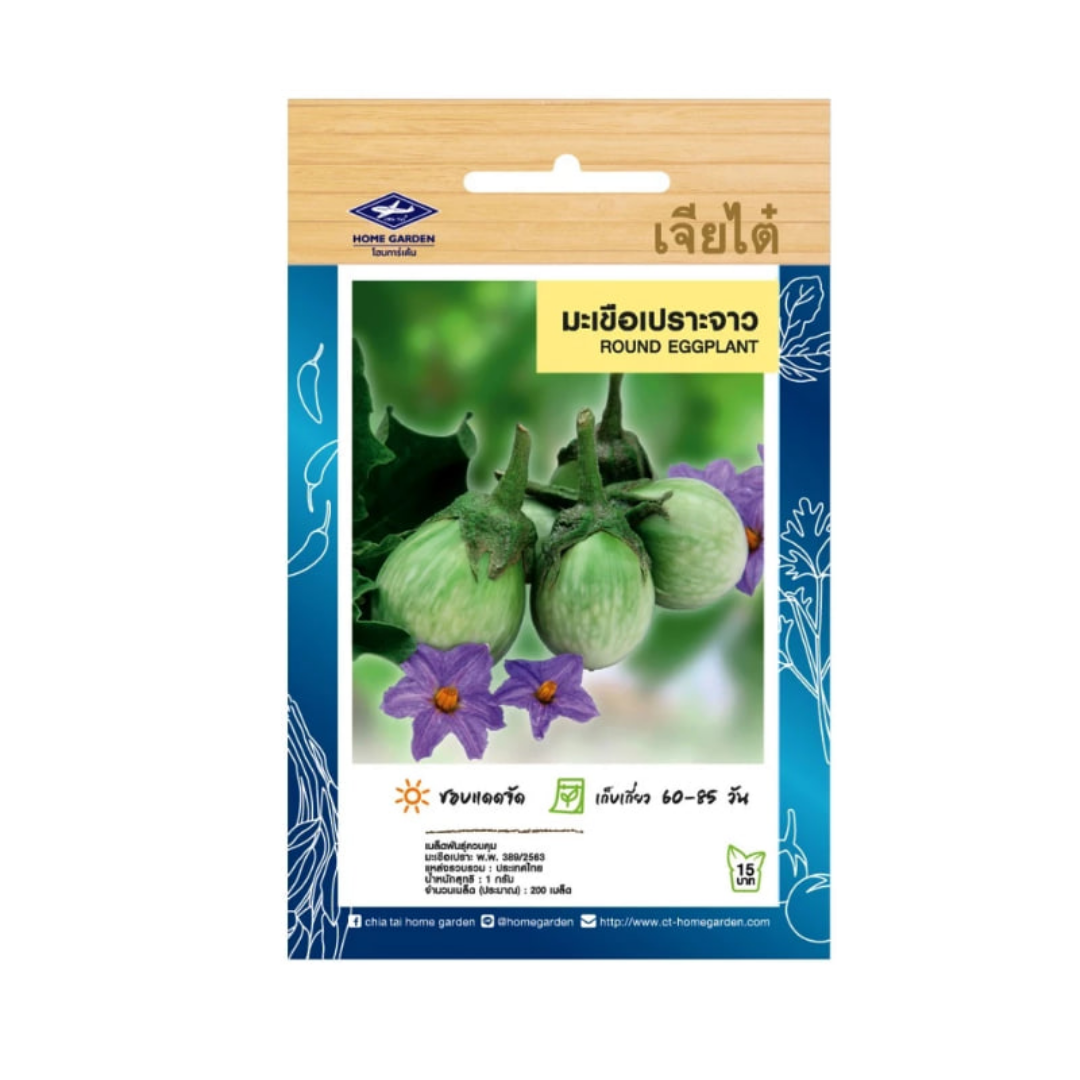 Home Garden Seeds Round Eggplant (Approx 200 Seeds) 1g