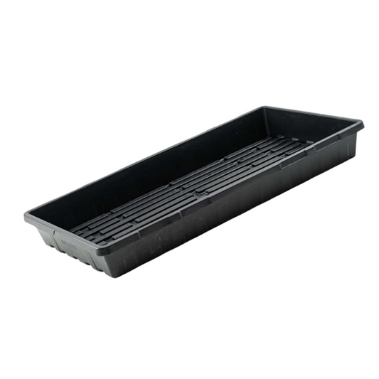 Plant Growing Seedling Tray