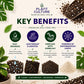 Plant Culture Cultured Soilless Potting Mix 1kg | 4kg Premium All-Purpose Soil-Free Mix