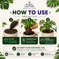 Plant Culture Cultured Soilless Potting Mix 1kg | 4kg Premium All-Purpose Soil-Free Mix