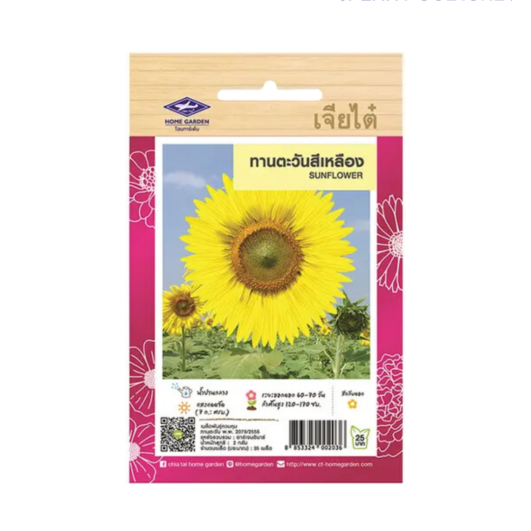 Home Garden Seeds Sunflower (Approx 35 Seeds) 2gms