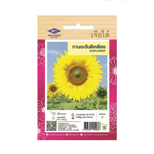 Home Garden Seeds Sunflower (Approx 35 Seeds) 2gms