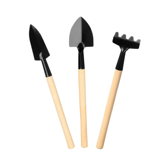 Succulent And Cactus Gardening Tools 3pc set