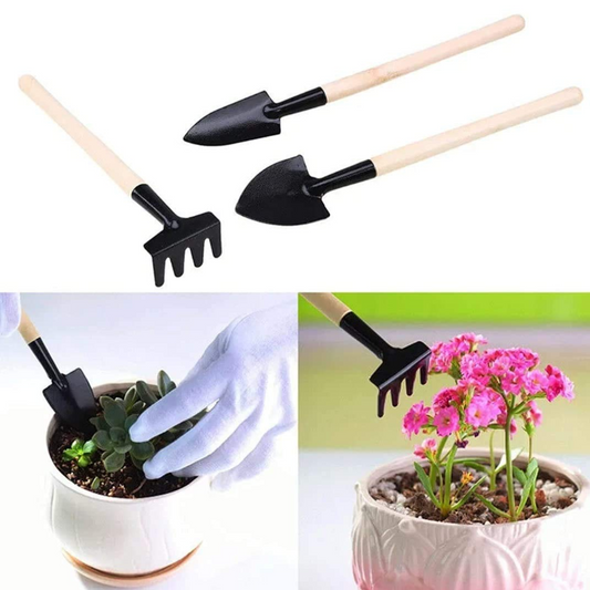 Succulent And Cactus Gardening Tools 3pc set
