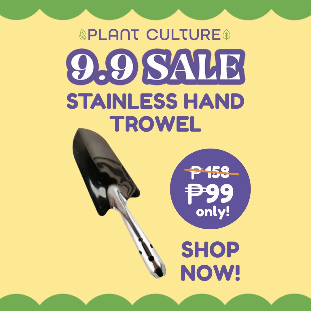 Hand Trowel Stainless by Plant Culture PH