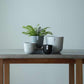 Plant Culture Urban Planter – Soft Round w/ Catch Plate for Plants