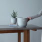 Plant Culture Urban Planter – Soft Round w/ Catch Plate for Plants
