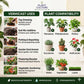 Plant Culture Vermicast Fertilizer 5kg Pure Organic Worm Castings Soil Booster