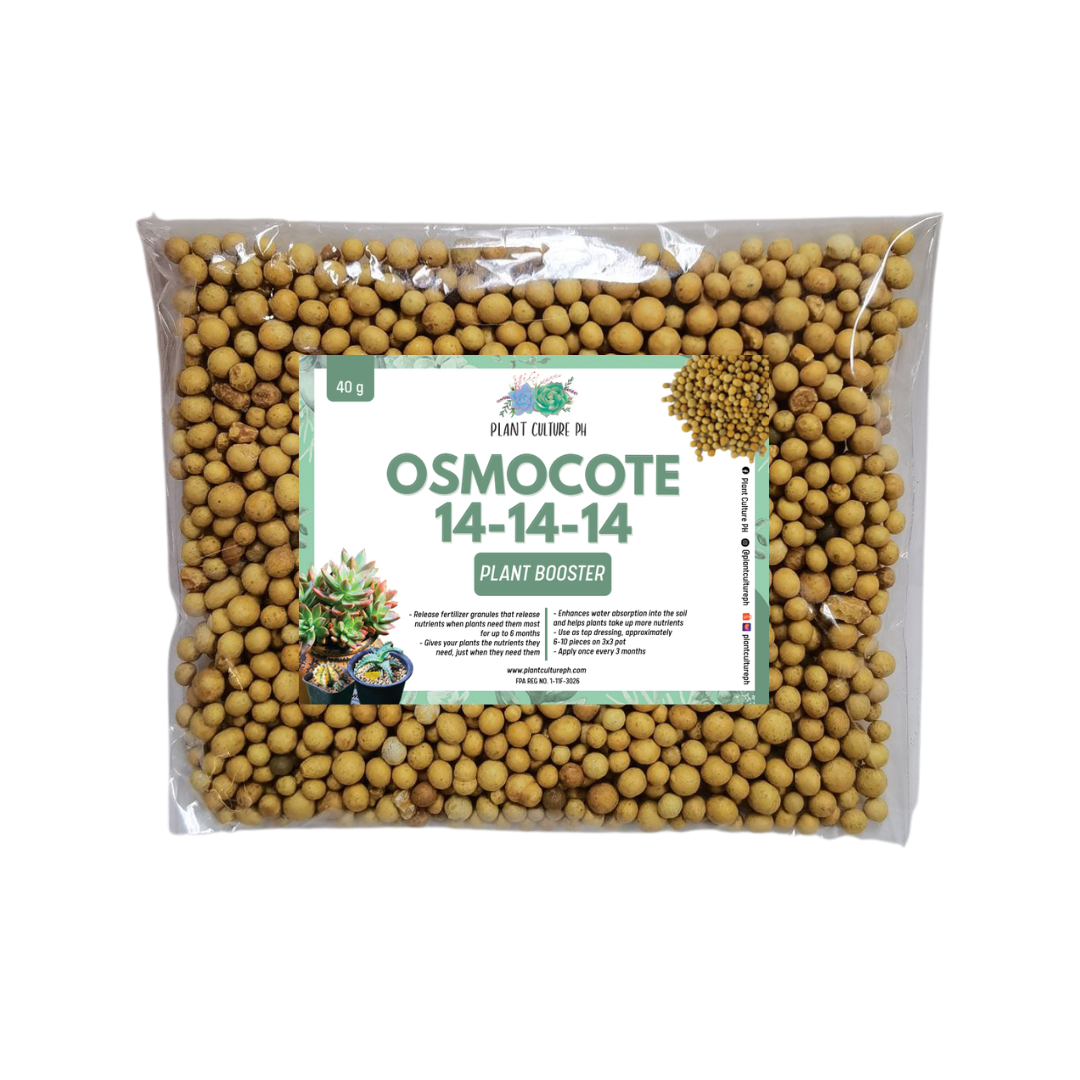 osmocote succulent potting mix Osmocote Controlled Release Fertilizer 40g – Plant Culture PH