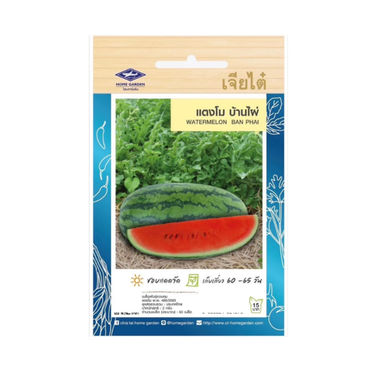 Home Garden Seeds Watermelon Ban Phai (Approx 60 Seeds) 2gms
