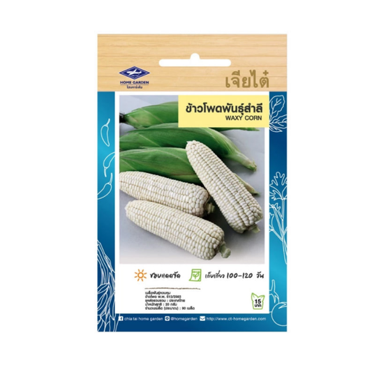 Home Garden Seeds Waxy Corn (Approx 90 Seeds) 20g