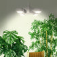 SANSI Grow Light Wing Style 30Watts, Full Spectrum, Perfect for Seeding and Growing of Indoor Plants