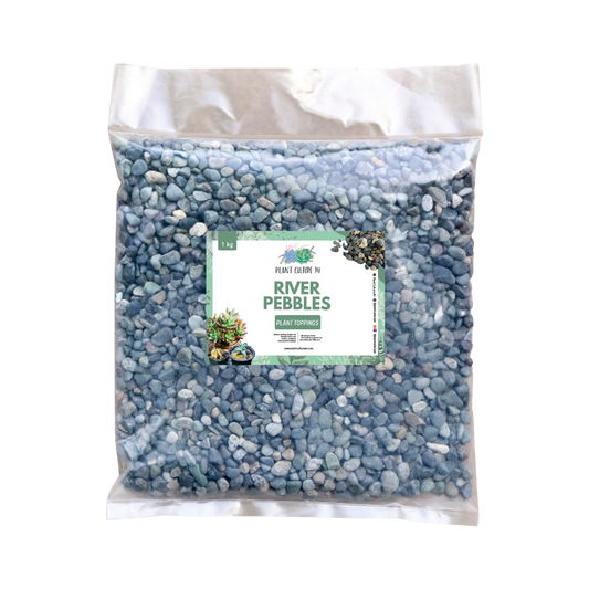 River Pebbles 1kg by Plant Culture PH