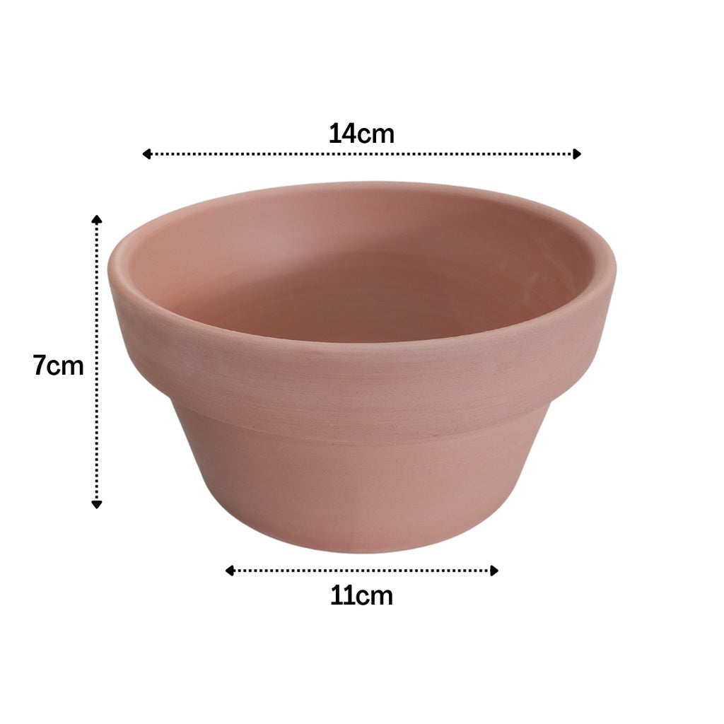 Japanese Terracotta Planters With Catch Plate | Clay Pots with Plant Saucer