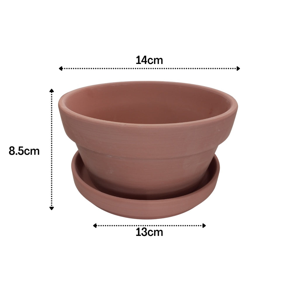 Japanese Terracotta Planters With Catch Plate | Clay Pots with Plant Saucer