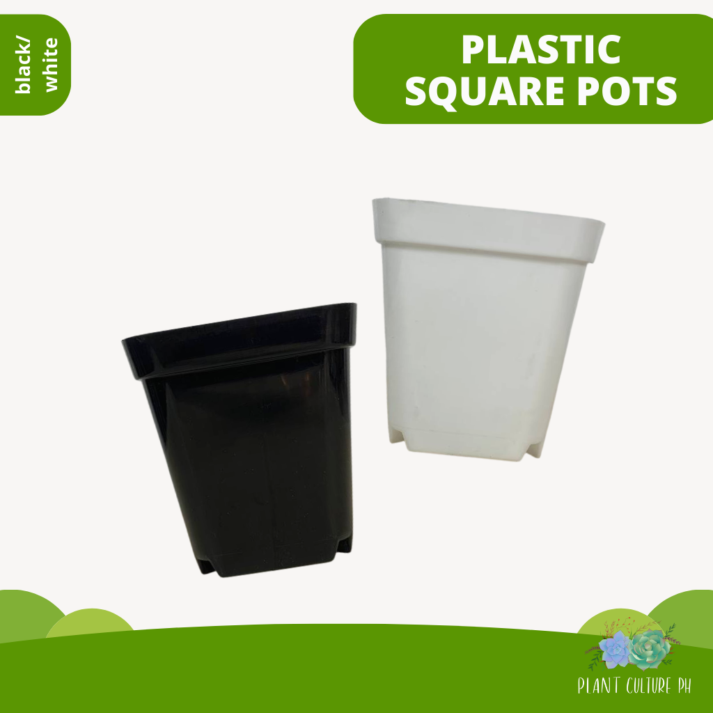 Plastic Pot Holder by Plant Culture PH
