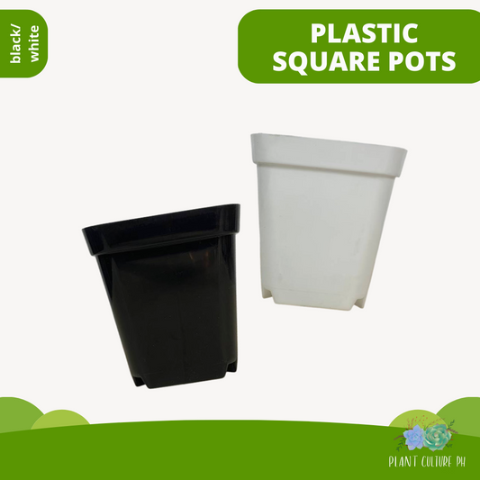 Plant Culture Plastic Square Plant Pot Black / White