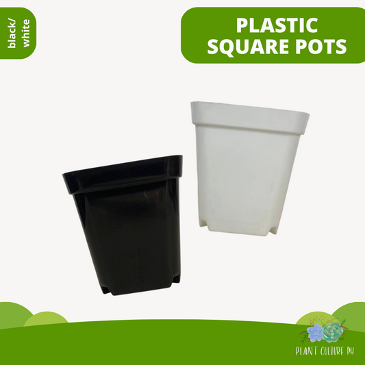 Black Square Planter | Plastic Pots