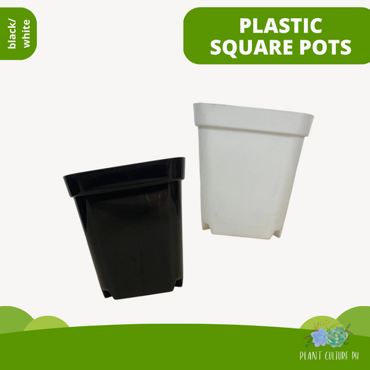 White Square Planter | Plastic Pots