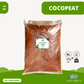 Cocopeat by Plant Culture PH