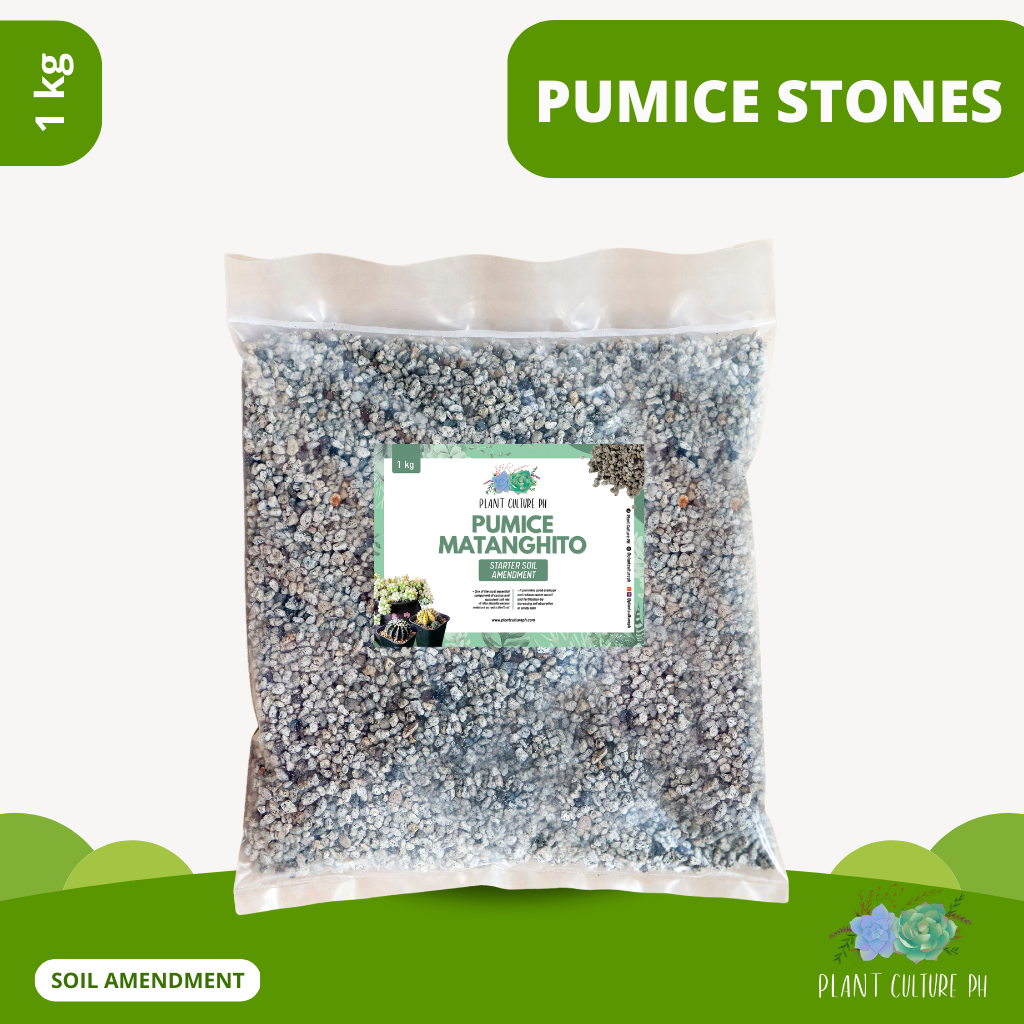 Pumice Stones (Matanghito, Monggo, 1cm, Corn)