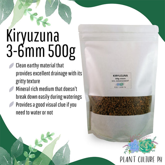 Kiryuzuna 3-6mm by Plant Culture PH