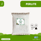 Perlite