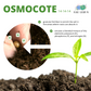 Osmocote Controlled Release Fertilizer 40g