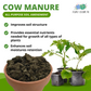 Composted Cow Manure All Purpose Soil Amendment 1kg