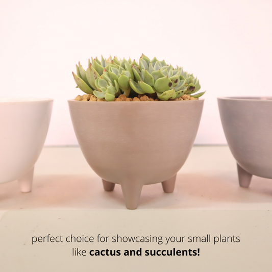 Nordic Minimalist Footed Melamine Planter | Plastic Pots