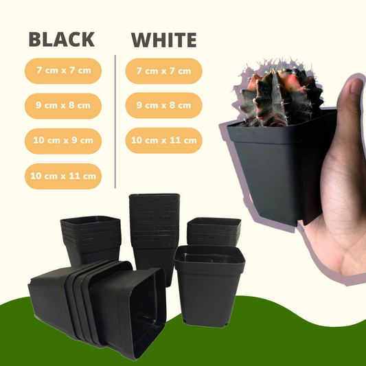 Plant Culture Plastic Square Plant Pot Black / White