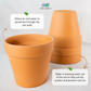 Smooth Japanese Terracotta Planters (Small- Medium)