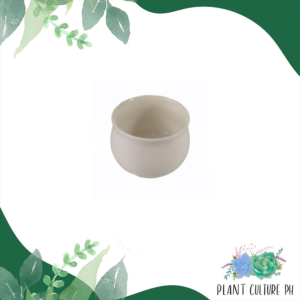 Minimalist Ceramic Planters | Ceramic Pots