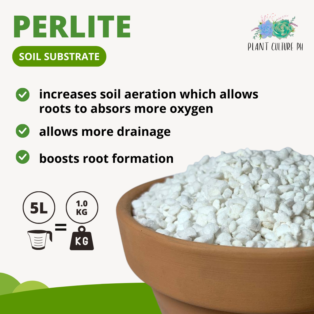 Perlite Sand Soil Mix Components – Plant Culture PH