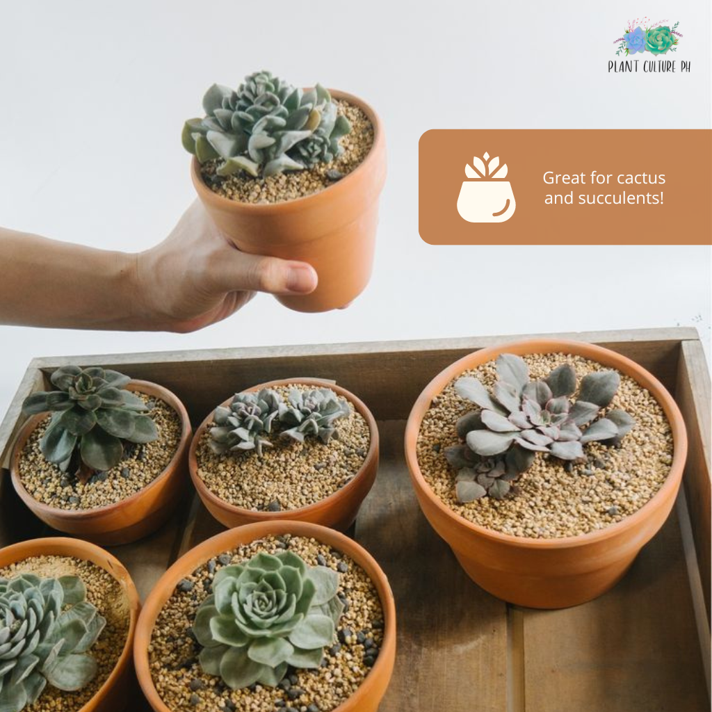 Smooth Japanese Terracotta Planters (Small- Medium)