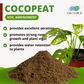 Cocopeat by Plant Culture PH
