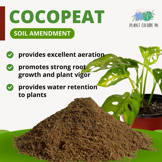 Cocopeat  Soil Amendment & Soil Mix Component | For Plants Coco Peat