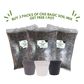 CNS Basic Soil Mix 5kg x 3 Bundle for Cactus and Succulents